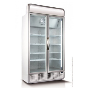 Glasdeur koelkast Husky C10PRO + Canopy