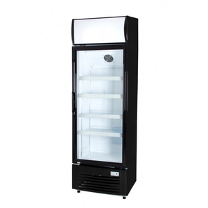 Glasdeur koelkast Exquisit  ELDC 300 XL, zwart